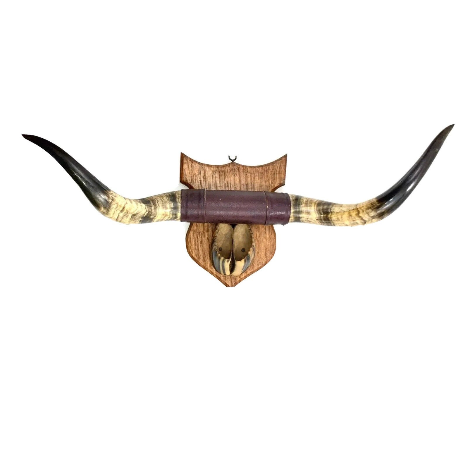 Depletion Make a snowman Toxic bull horns למכירה אופניים rice picture