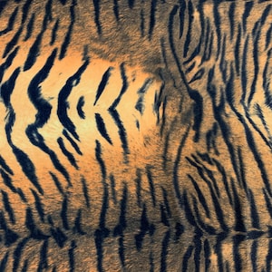 Dana BLACK CAMEL Tiger Pattern Polyester Stretch Velvet Fabric by the Yard for Tops, Clothes, Dance Wear, Costumes, Crafts - 10160