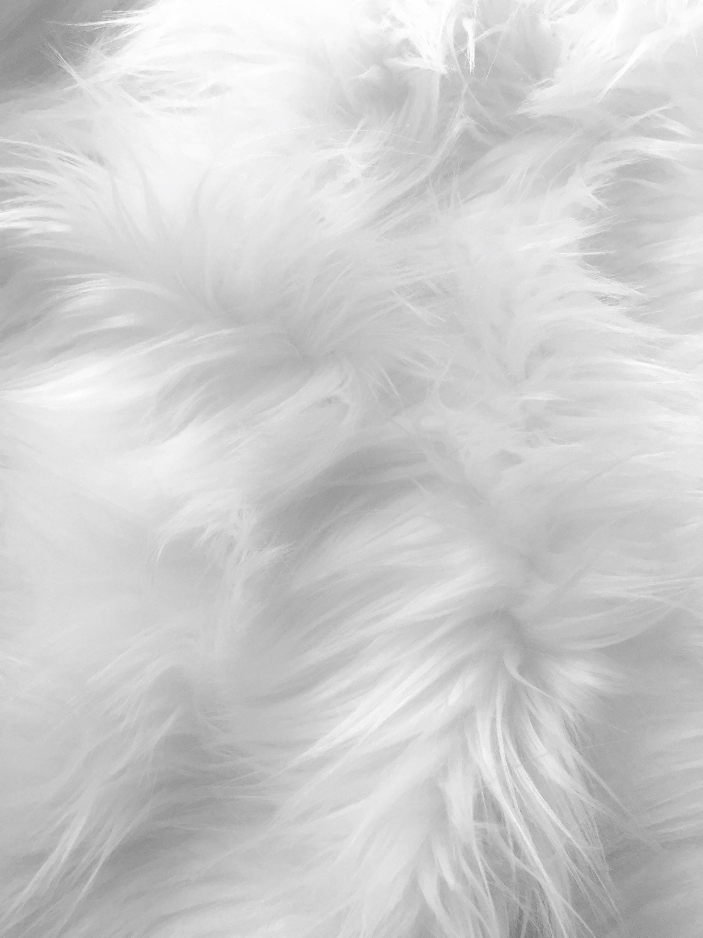 Eden WHITE 2 Inch Long Pile Soft Faux Fur Fabric by the Yard Etsy
