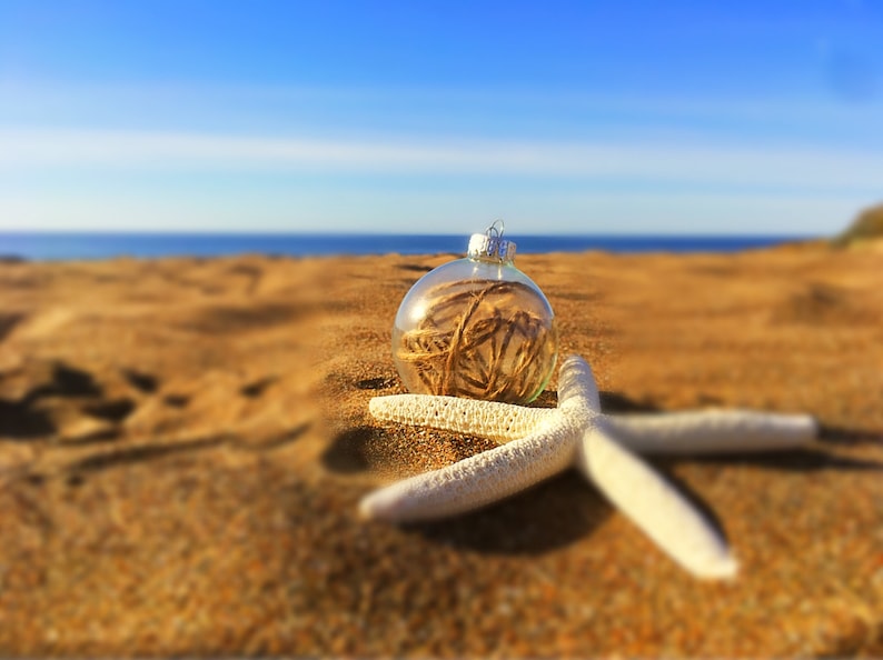 Coastal Glass Christmas Ornament Set of 4
