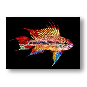 Apistogramma Cichlid Fish Fractal Art Aluminium Metal Wall Plaque. Super Red