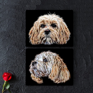 Cavachon Dog Metal Wall Plaque,  Perfect Cavachon Owner or Dog Lover Gift.