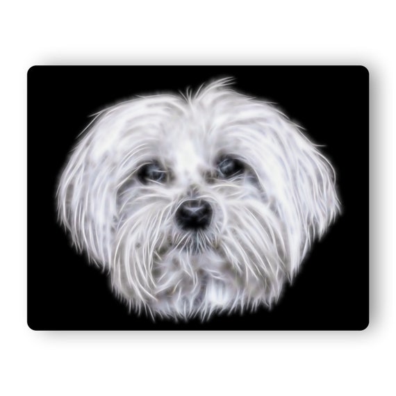Maltese Short Haired Maltese Dog Metal Wall Plaque Fractal Etsy