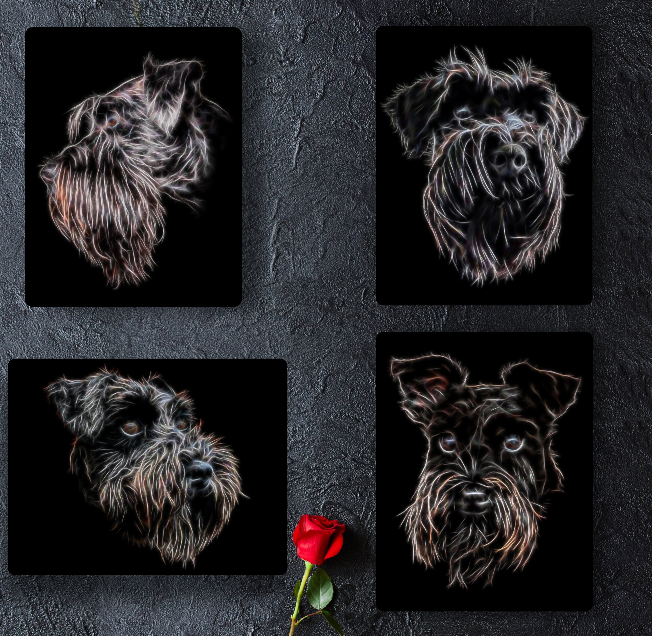 Schnauzer diamond painting 2025