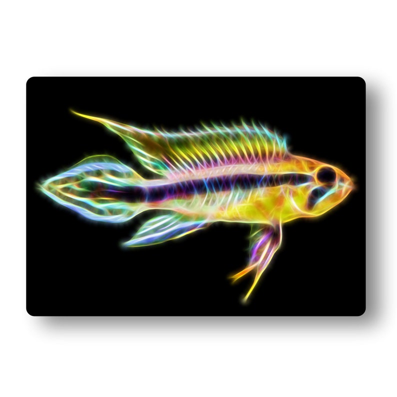 Apistogramma Cichlid Fish Fractal Art Aluminium Metal Wall Plaque. Pearl Blue