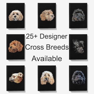 Può includere: Un collage di nove immagini con diverse razze di cani. Ogni immagine mostra la testa e le spalle di un cane su uno sfondo nero. Il testo "25+ Designer Cross Breeds Available" è visualizzato al centro del collage.
