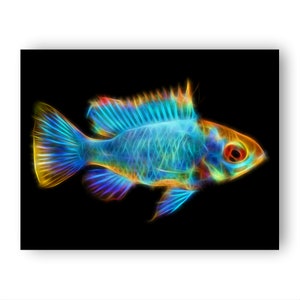 Impression cichlidé avec un superbe design dart fractal. Electric Blue Ram