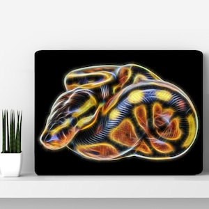 Ball Python Aluminium Metal Wall Plaque.