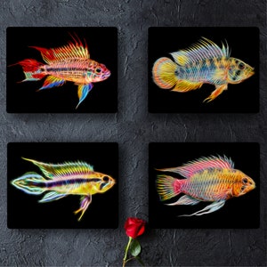 Apistogramma Cichlid Fish Print with Stunning Fractal Art Design.