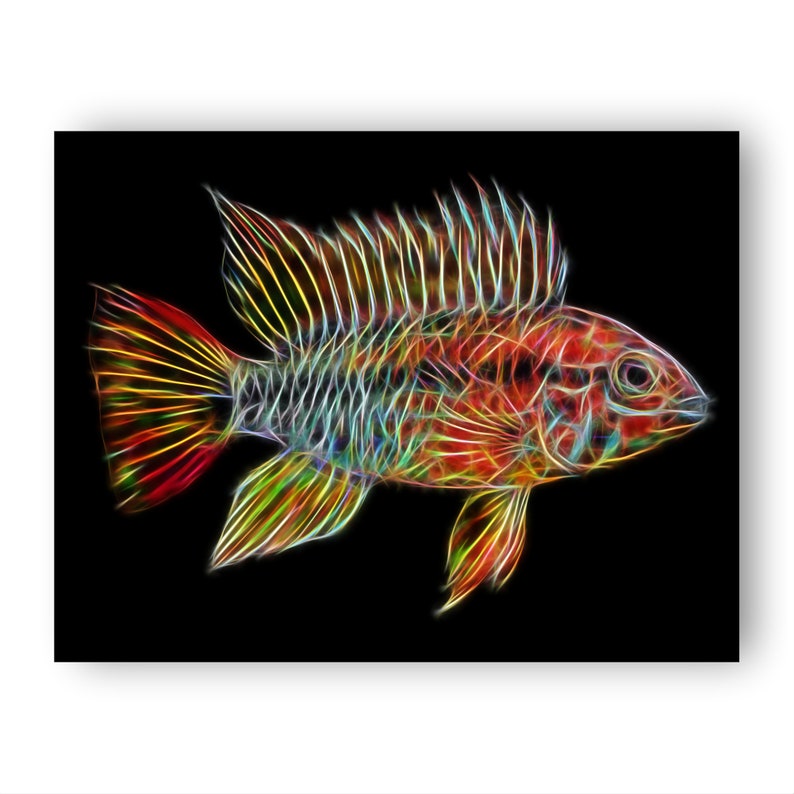 Apistogramma Cichlid Fish Print with Stunning Fractal Art Design. Red Neck Viejita