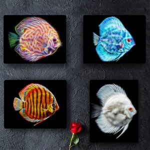 Discus Fish Print with Stunning Fractal Art Design.
