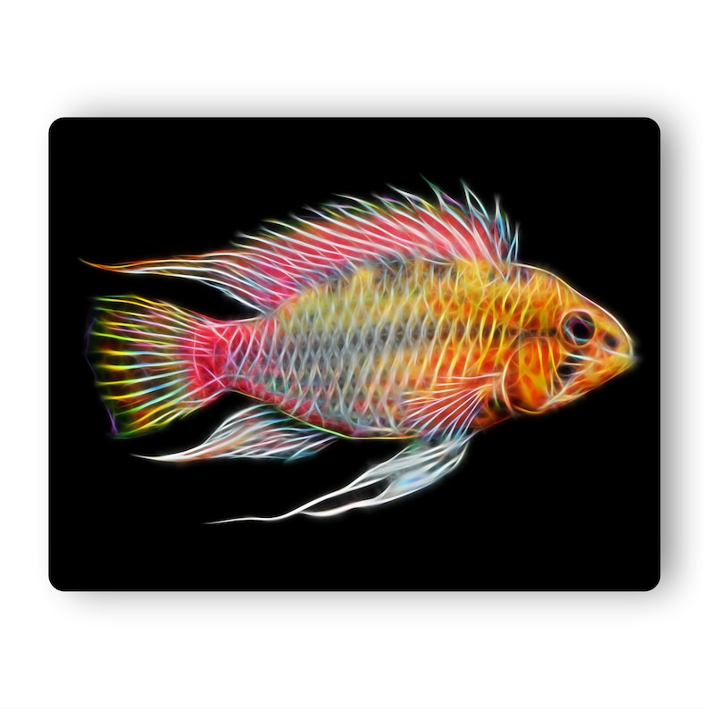 Apistogramma Cichlid Fish Fractal Art Aluminium Metal Wall Plaque. Red Line