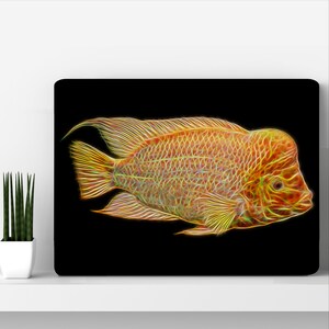 Midas Cichlid Aluminium Metal Wall Plaque with Stunning Fractal Art Design.  Amphilophus Citrinellus