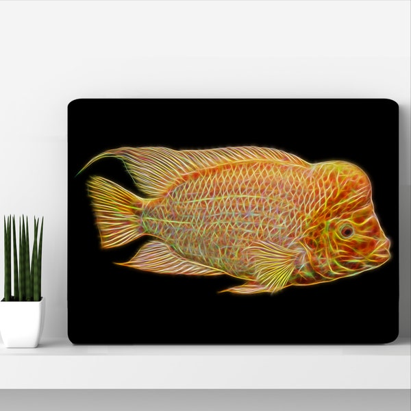 Midas Cichlid Aluminium Metal Wall Plaque with Stunning Fractal Art Design.  Amphilophus Citrinellus