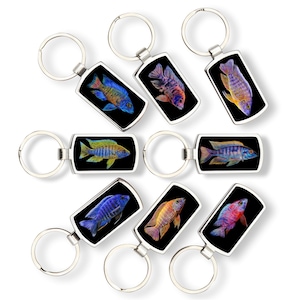 Könnte beinhalten: Schlüsselanhänger mit farbenfrohen Fischmotiven auf schwarzem Hintergrund. Die Schlüsselanhänger haben einen silberfarbenen Metallrahmen und einen kreisförmigen Schlüsselring. Die Fische sind in verschiedenen Farben dargestellt, darunter Blau, Gelb, Orange und Lila.