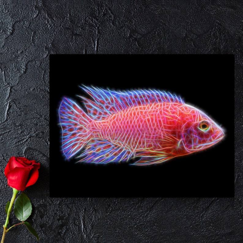 Dragon Blood Peacock Cichlid Metal Wall Plaque with Stunning Fractal Art Design. Aulonocara Sp image 5