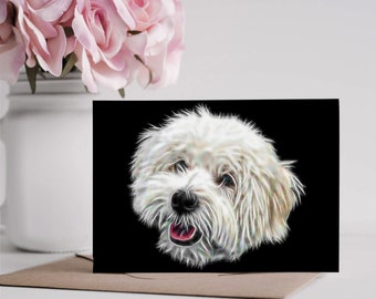 May include: A white dog with a fluffy coat and a black background. The dog is looking at the camera with its mouth slightly open, showing its tongue.