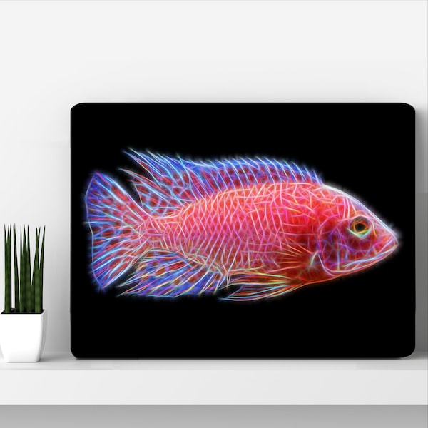 Dragon Blood Peacock Cichlid Metal Wall Plaque with Stunning Fractal Art Design. Aulonocara Sp