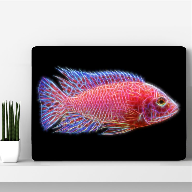 Dragon Blood Peacock Cichlid Metal Wall Plaque with Stunning Fractal Art Design. Aulonocara Sp image 1