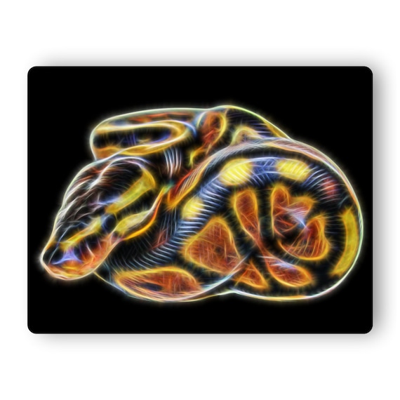 Ball Python Aluminium Metal Wall Plaque. Also Available as | Etsy UK