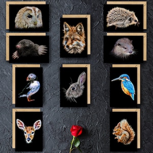 Biglietti d'auguri per la fauna selvatica britannica (interno vuoto). Una selezione di disegni. Compresi coniglio, lontra, volpe, pulcinella di mare, gufo, scoiattolo, cervo, riccio