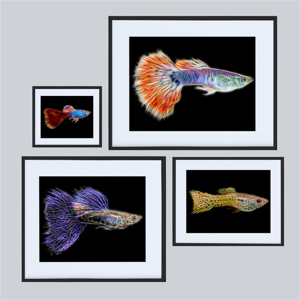 Guppy Fish Prints with Stunning Fractal Art Designs.