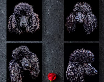 May include: Four black and white digital art prints of poodle dogs with a red rose on a dark gray background.