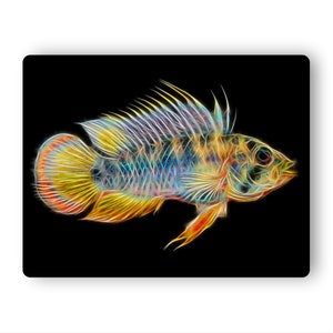 Apistogramma Cichlid Fish Fractal Art Aluminium Metal Wall Plaque. Inca