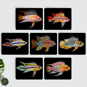 Apistogramma Cichlid Fish Fractal Art Aluminium Plaque murale en métal en aluminium.
