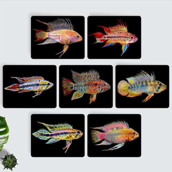 Apistogramma Cichlid Fish Fractal Art Aluminium Metal Wall Plaque.