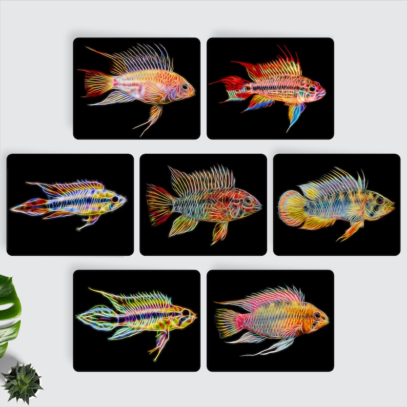 Apistogramma Cichlid Fish Fractal Art Aluminium Metal Wall Plaque. image 1