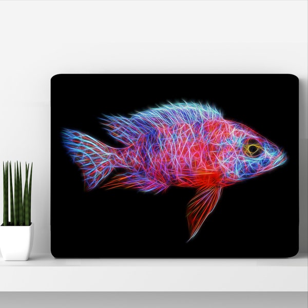 Red OB Peacock Cichlid Metal Wall Plaque with Stunning Fractal Art Design. Aulonocara Sp