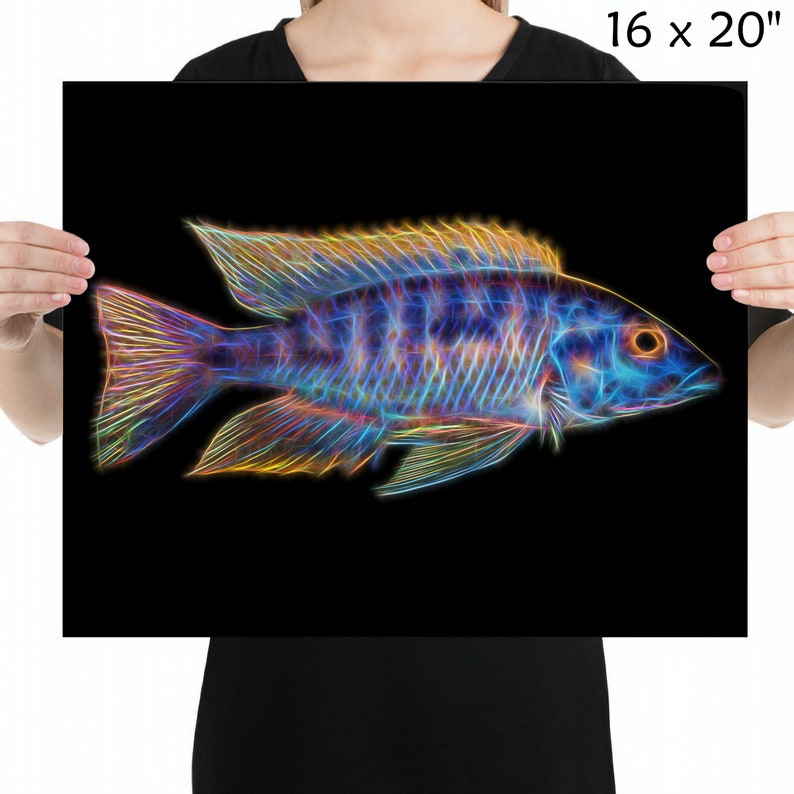 Stampa di pesci ciclidi pavone spalla blu oro arancione con splendido disegno di arte frattale. Aulonocara immagine 7