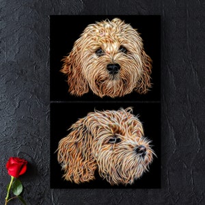 Pode incluir: Duas impressões de arte digital de um cão castanho dourado com pelo encaracolado. O focinho do cão é o foco da imagem. O fundo é preto.