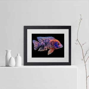 Orange OB Peacock Cichlid Fish Print with Stunning Fractal Art Design. Aulonocara