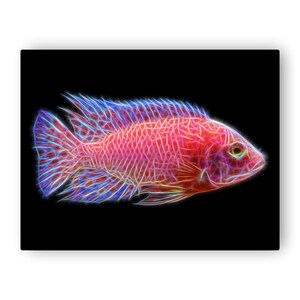 Dragon Blood Peacock Cichlid Metal Wall Plaque with Stunning Fractal Art Design. Aulonocara Sp image 2