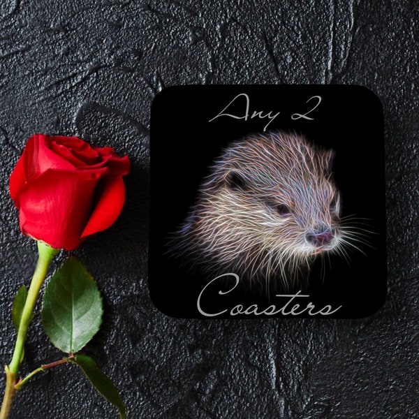 Any 2 Coasters and gift box from Fractal Artworks