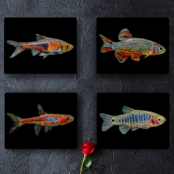 Rasbora Fish Prints with Stunning Fractal Art Designs.