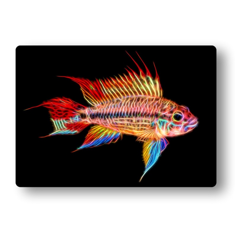 Apistogramma Cichlid Fish Fractal Art Aluminium Metal Wall Plaque. Super Red