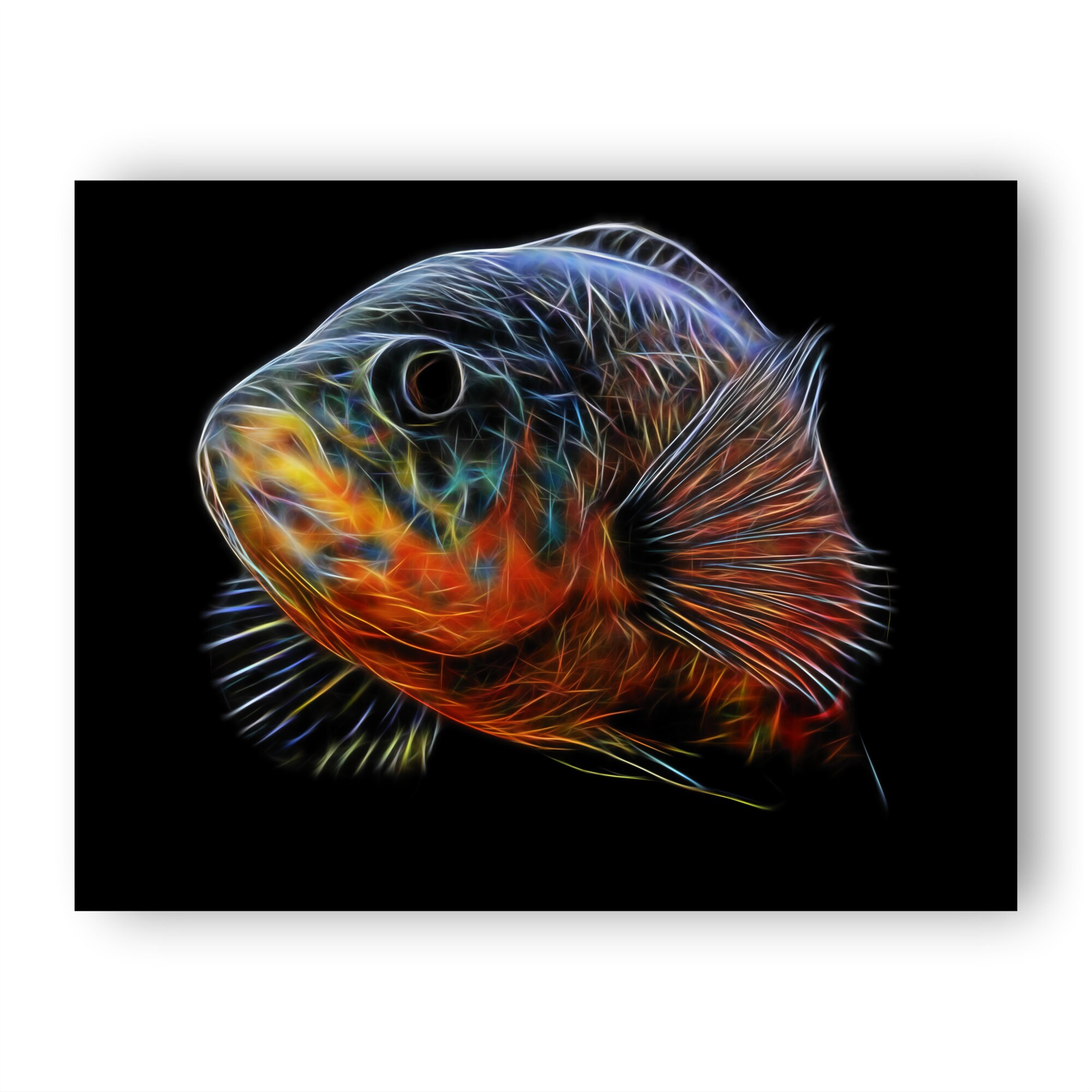 Tiger Oscar Fish Print With Stunning Fractal Art Design. 