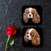 see more listings in the Dog Coasters / Placemats section