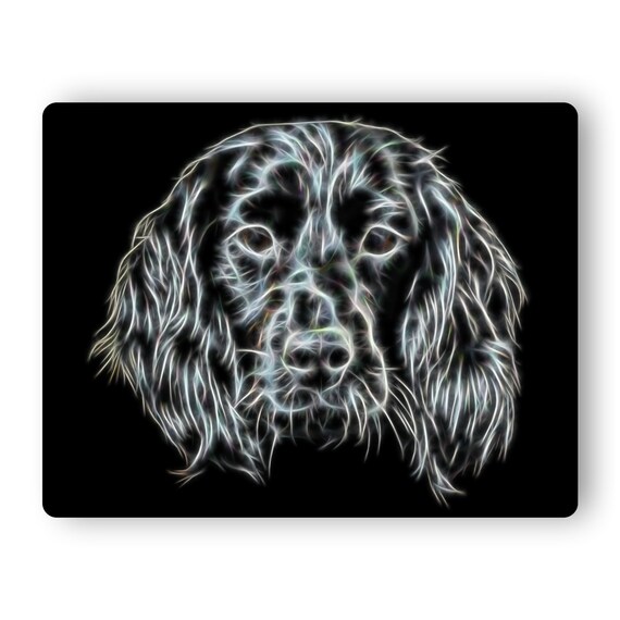 black sprocker spaniel