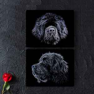 Black Newfoundland Dog Metal Wall Plaque with Fractal Art Design.