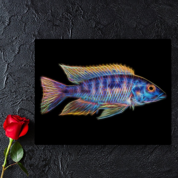 Blue Gold Orange Shoulder Peacock Cichlid Fish Print with Stunning Fractal Art Design. Aulonocara