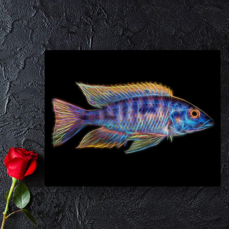 Stampa di pesci ciclidi pavone spalla blu oro arancione con splendido disegno di arte frattale. Aulonocara immagine 1