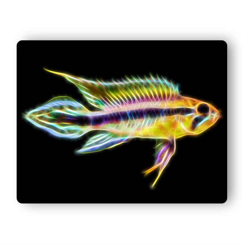 Apistogramma Cichlid Fish Print with Stunning Fractal Art Design. Pearl Blue