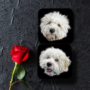 Coton De Tulear Coasters, Set of 2, with Stunning Fractal Art Design.