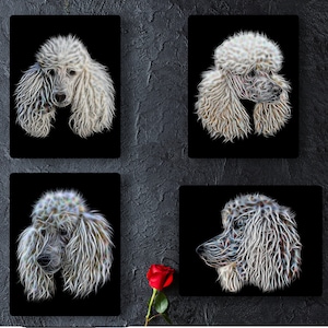 White Standard Poodle Metal Wall Plaque with Stunning Fractal Art Design.