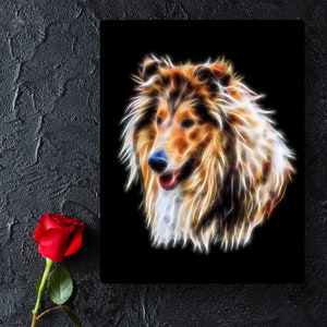 Raues Collie Aluminium Metall Wandplakette mit atemberaubendem Fraktal Art Design.