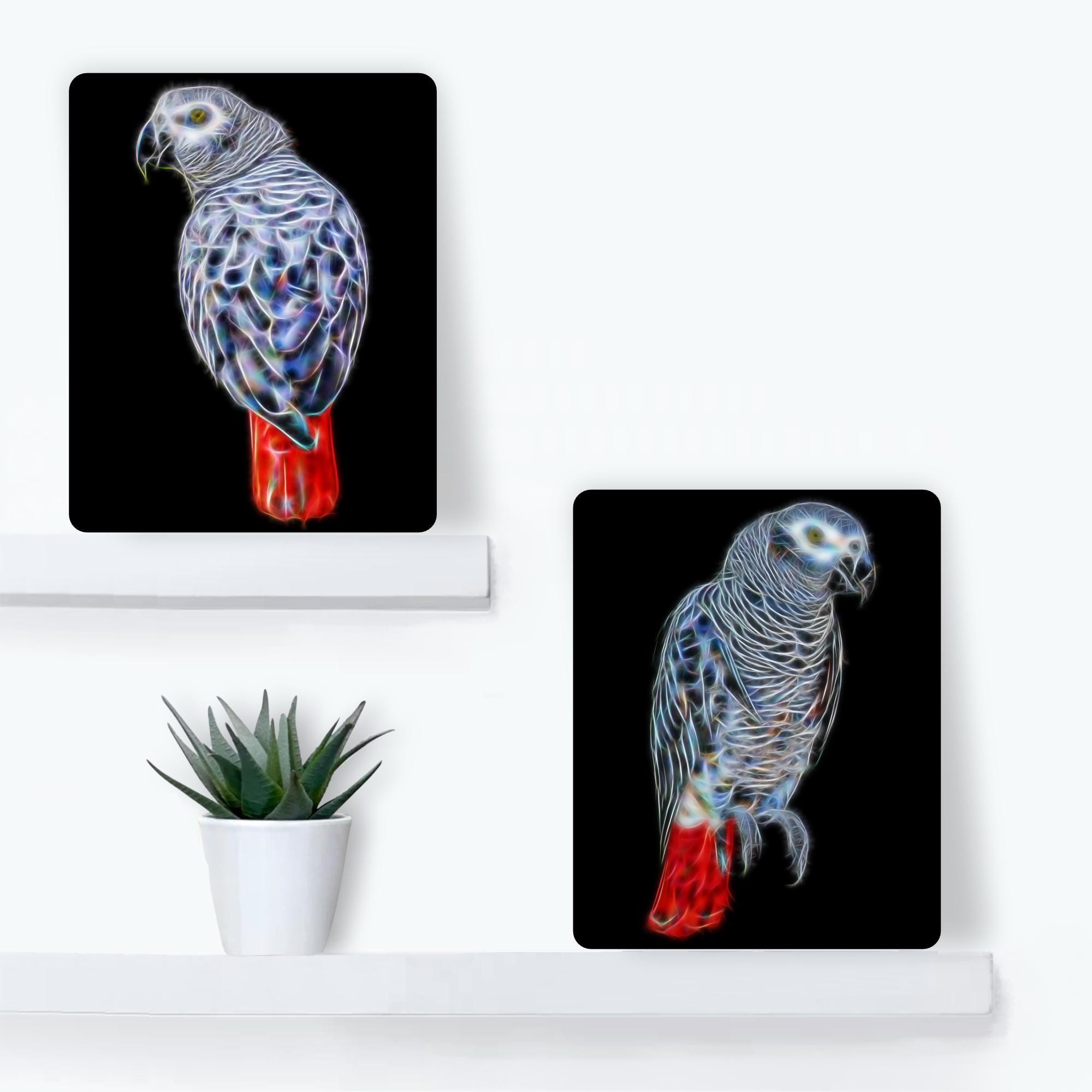 Rosefinch Stone Targa In Metallo Retrò Con Pappagallo Pirata, 20x30 Cm, Decorazione Da Parete Per Garage E Man Cave